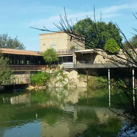 La Remessuola La Torre Sul Lago Panzió La Villa  Kültér fotó